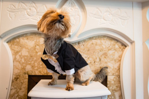 Best Irish Wedding Photographs