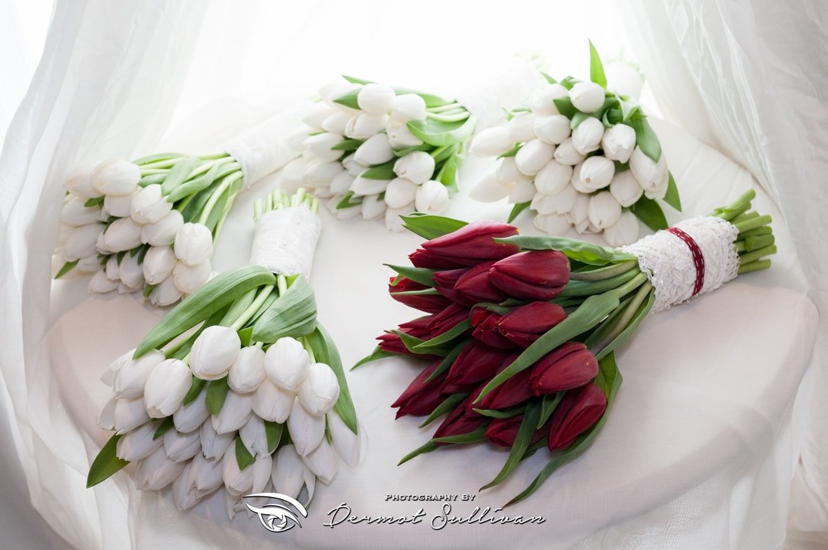 Muckross Park Hotel Killarney Wedding Photographs, Irish Wedding Photographer Dermot Sullivan, Cork Wedding Photographer, Wedding Photography Cork Ireland, Award Winning Wedding Photography, West Cork Wedding Photography, Cork Ireland Wedding Photos, Clonakilty Wedding Photographer, Best Prices, Packages, Pictures, Best Wedding Photos, Best of 2017, Kerry, Killarney, Kenmare,