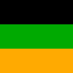 ANC African National Congress flag