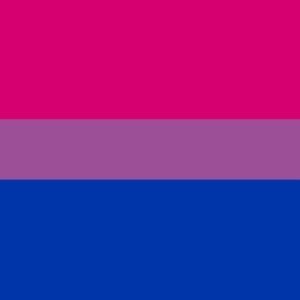 Bi Pride Bisexual flag