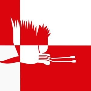 Cranendonck Gemeentevlag