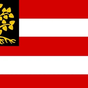 s Hertogenbosch Den Bosch Gemeentevlag (Test)