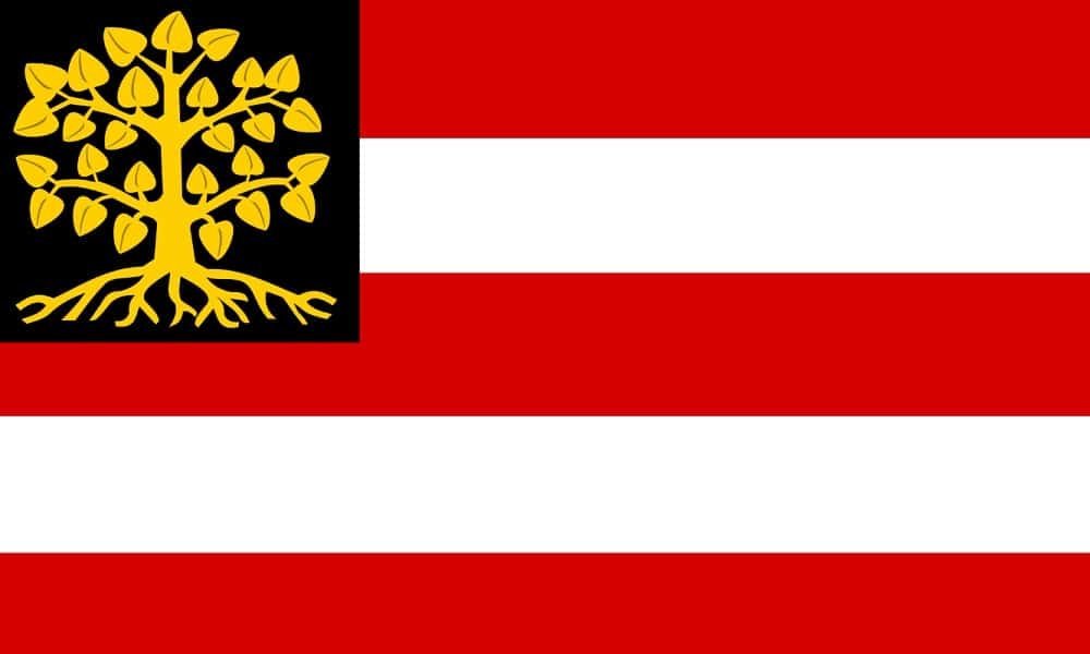 's Hertogenbosch Den Bosch Gemeentevlag
