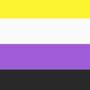 Non Binary pride vlag