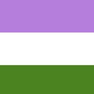 Genderqueer Non Binary pride flag
