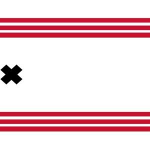 Hendrik-Ido-Ambacht Gemeentevlag