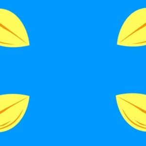 Hilversum Gemeentevlag