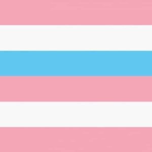 Intersex Flag pink blue