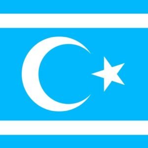 Turkmeneli flag