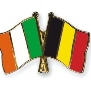 Ireland Belgium flag friendship pin