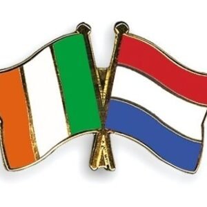 Ireland Netherlands Friendship flag pin