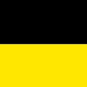 Munich flag