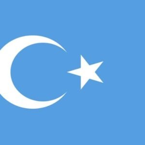 East Turkestan Uyghuristan flag