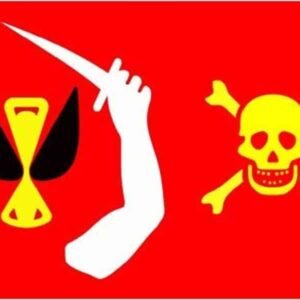 Pirate flag Chris Moody