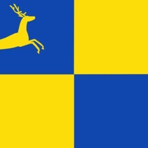 Putten Gemeentevlag