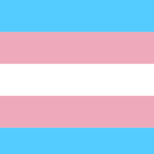 Transgender Pride vlag Bandana