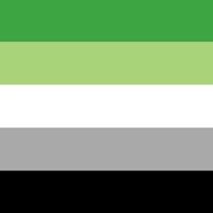 Aromantic flag