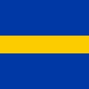Borne Gemeentevlag