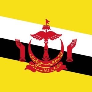 Brunei flag