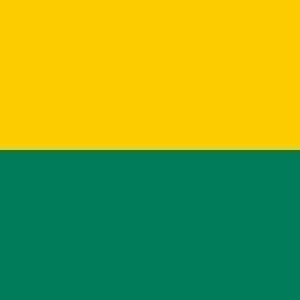 's Gravenhage Gemeentevlag