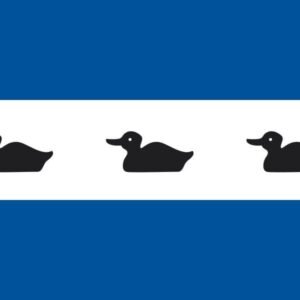 Diemen Gemeentevlag