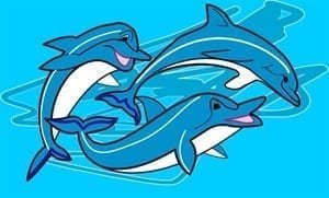 Dolphin flag