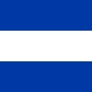 Almelo Gemeentevlag