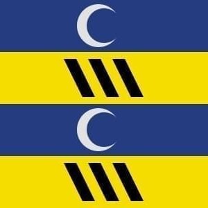 Ameland Gemeentevlag