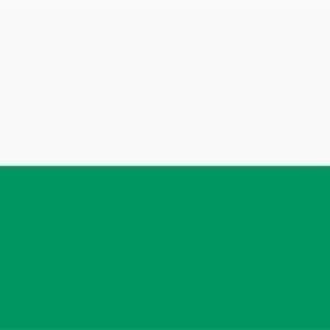Aalten Gemeentevlag