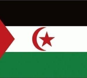 Sahrawi Arab Democratic Republic flag