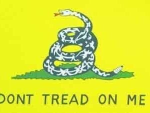USA Dont Tread On Me Gadsen Yellow flag