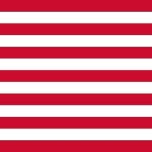 Goes Gemeentevlag