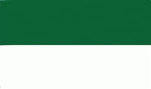 Mega grote Groen Witte vlag 5x3m