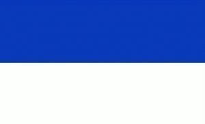 Blue White flag