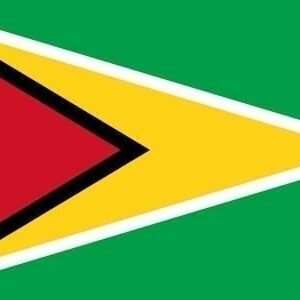 Guyana flag