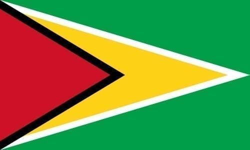 Guyana flag