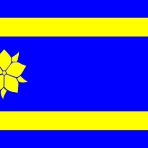Hattem Gemeentevlag