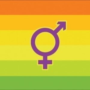Intersex Hermaphrodite Pride flag