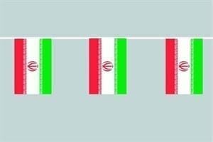 Iran Flag bunting 12m long