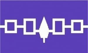 Iroquois Indian flag