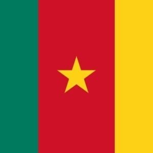 Cameroon flag