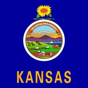 Kansas State flag