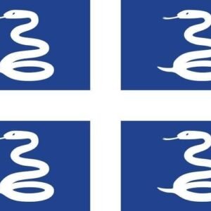 Martinique flag