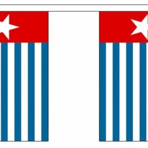 Morning Star West Papua Flag bunting 9m