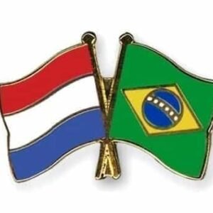 Netherlands Brazil flag friendship pin
