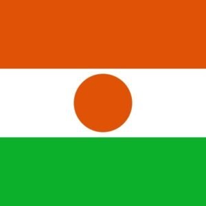 Niger flag