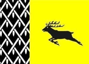 Nunspeet Gemeentevlag