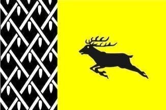 Nunspeet Gemeentevlag