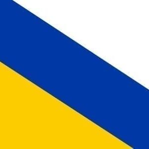 Ommen Gemeentevlag