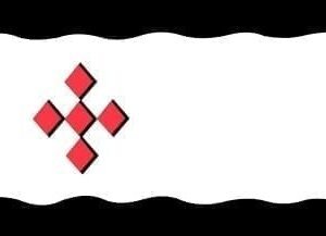 Peel en Maas Gemeentevlag